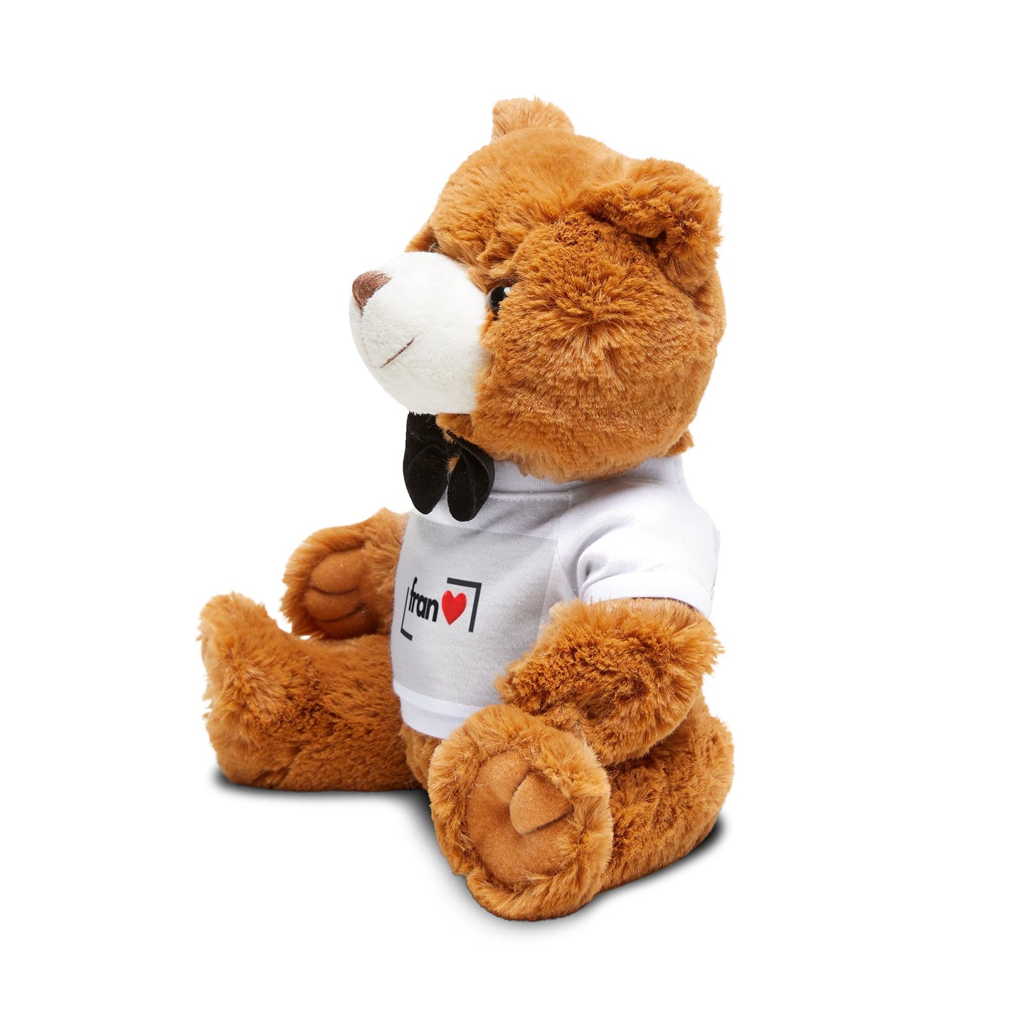 Ourson en peluche personnalisé Animal en peluche personnalisé Cadeau pour enfants Cadeau d'anniversaire Compagnon câlin Souvenir unique