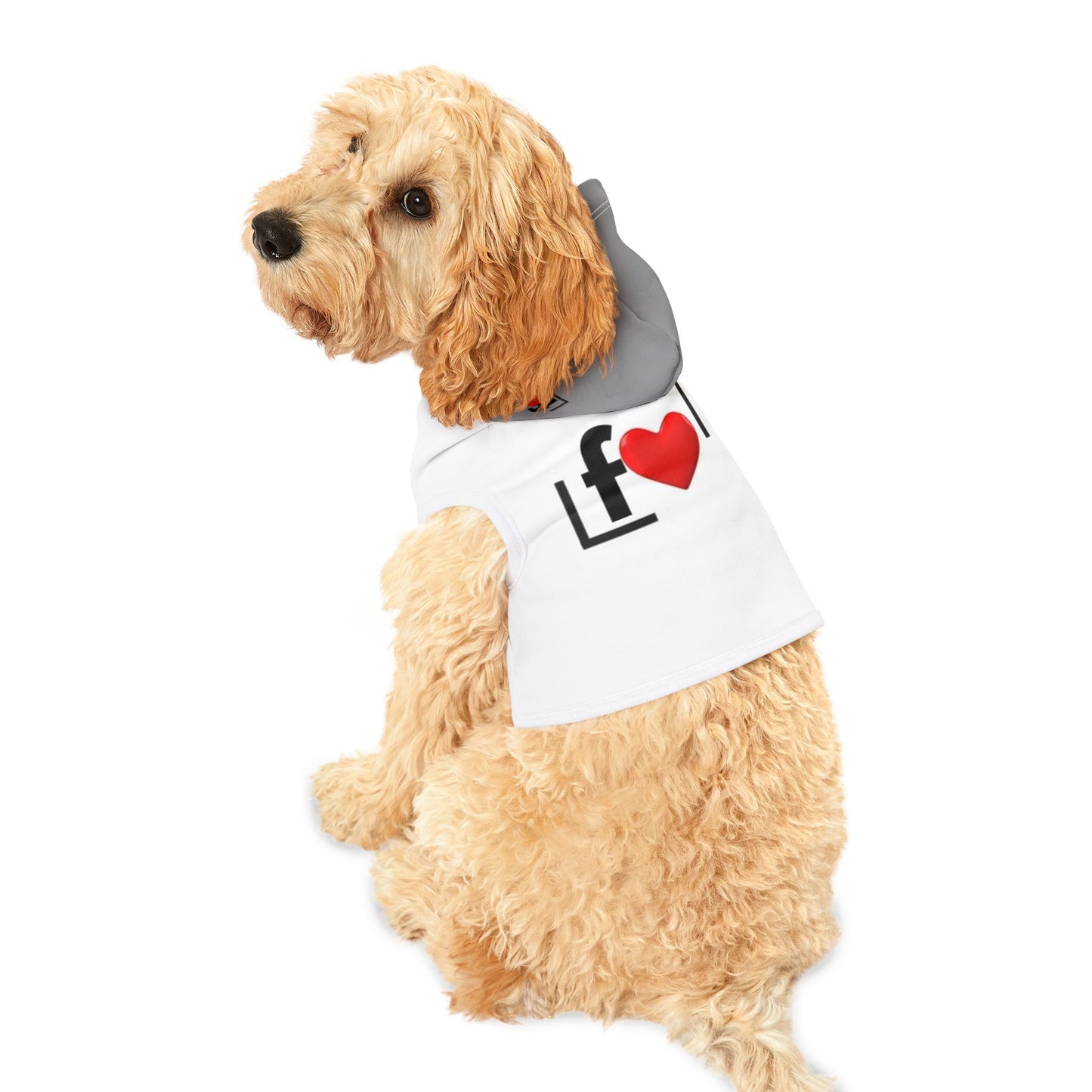 Stylish Pet Hoodie with Love Design | Cute Dog Apparel for Small Pets, Valentine's Gift, Dog Fashion, Cozy Pet Wear, Pet Clothing
