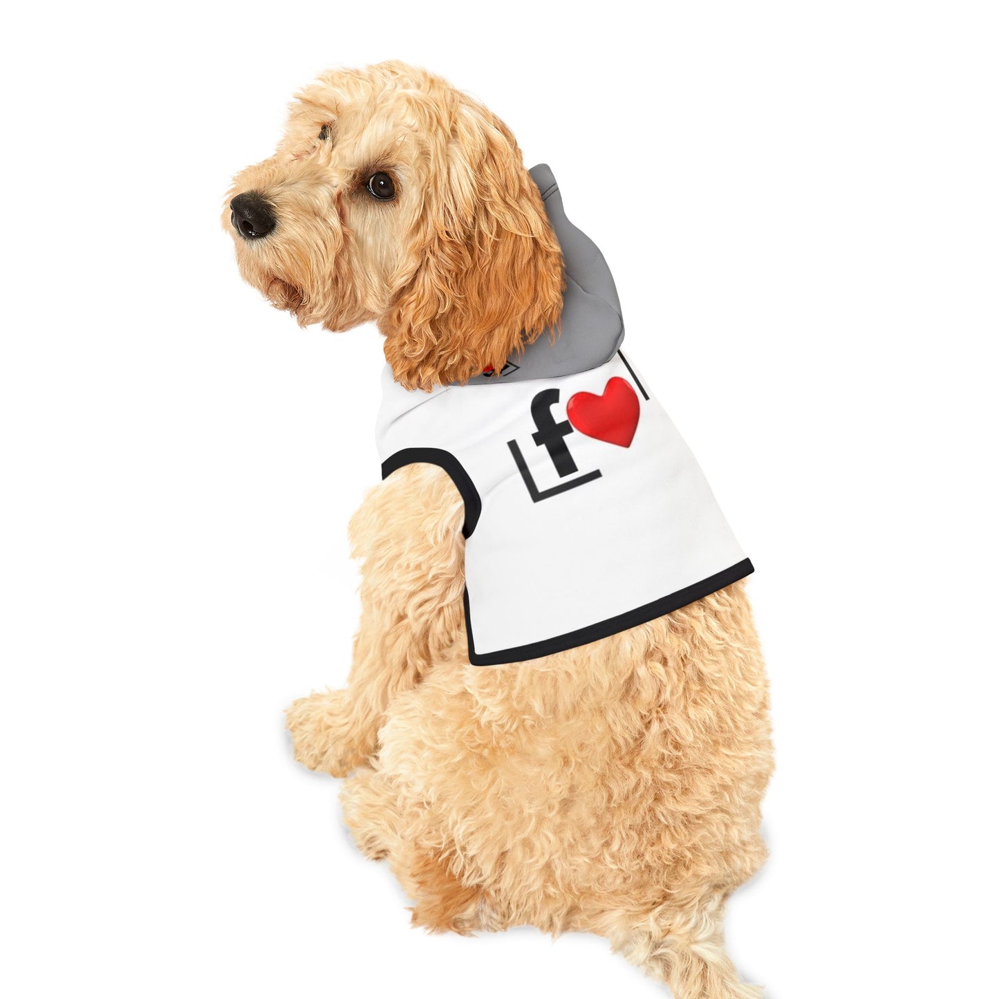 Stylish Pet Hoodie with Love Design | Cute Dog Apparel for Small Pets, Valentine's Gift, Dog Fashion, Cozy Pet Wear, Pet Clothing