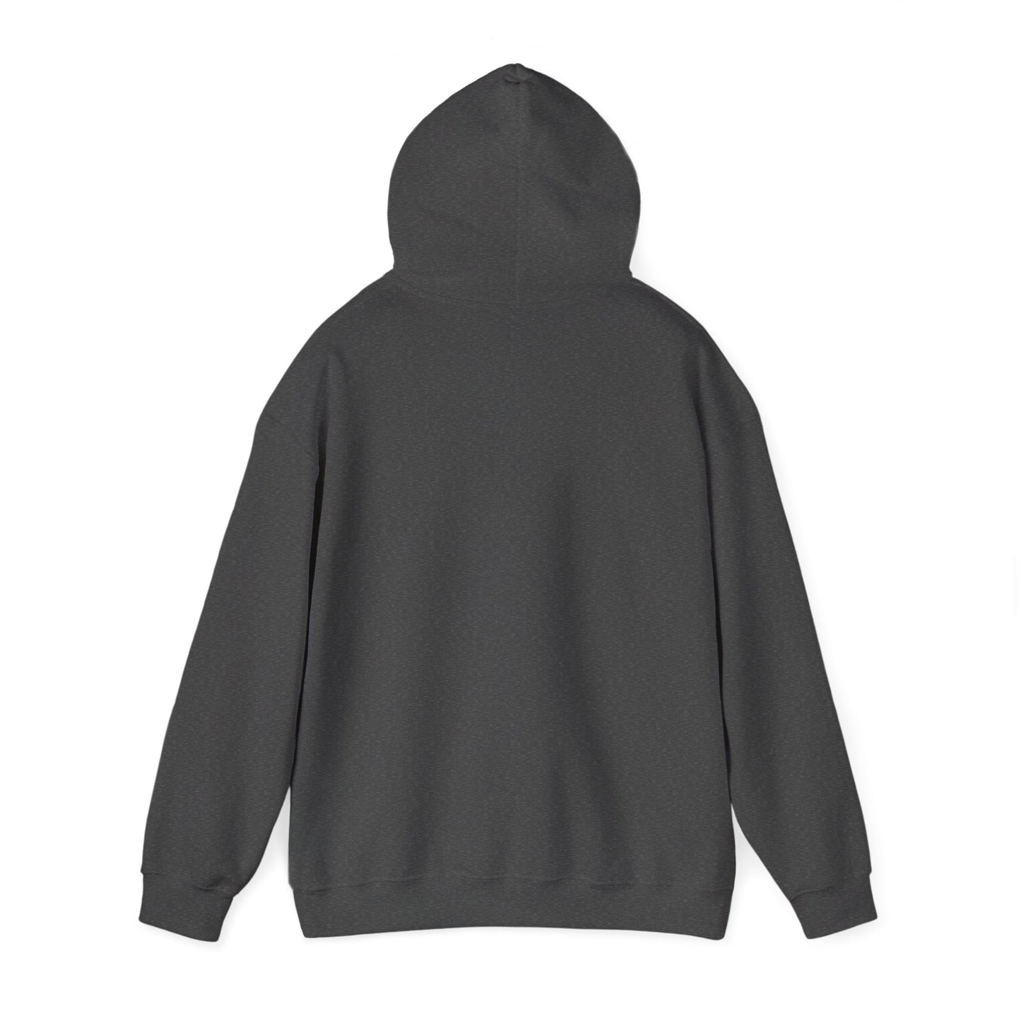 GOONYVA Hoodie à capuche unisexe en mélange épais, confortable pour toutes les occasions, tenue décontractée, cadeau pour amis, confortablee