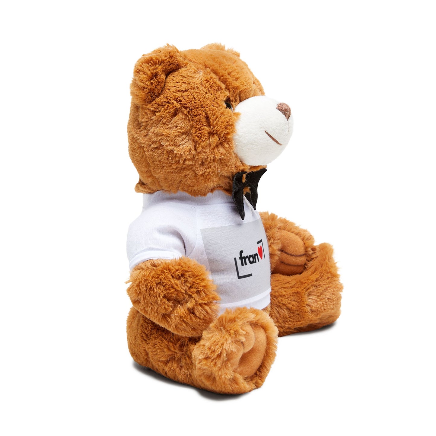 Ourson en peluche personnalisé Animal en peluche personnalisé Cadeau pour enfants Cadeau d'anniversaire Compagnon câlin Souvenir unique