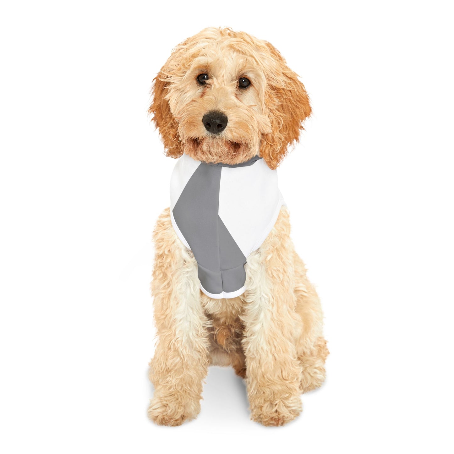 Stylish Pet Hoodie with Love Design | Cute Dog Apparel for Small Pets, Valentine's Gift, Dog Fashion, Cozy Pet Wear, Pet Clothing